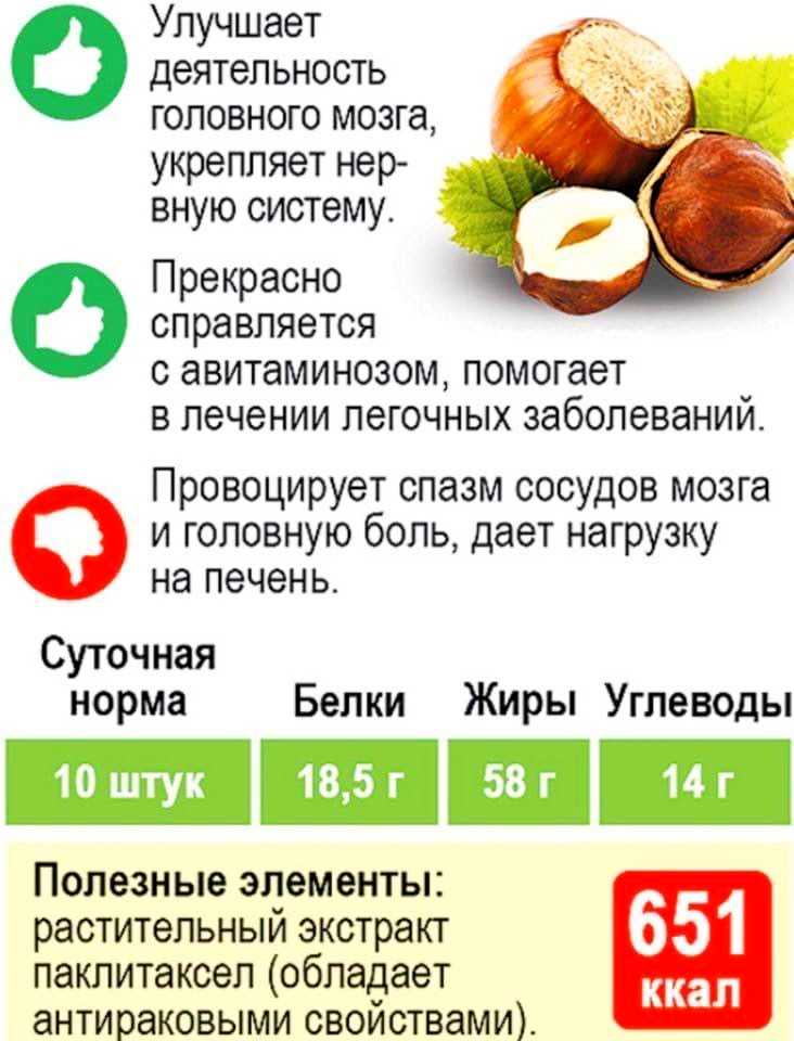 6 способов как заготовить фундук на зиму в домашних условиях - видео