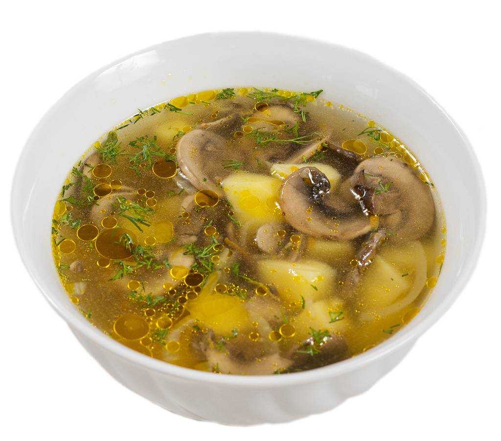 Как сварить грибной суп из свежих грибов? самые вкусные рецепты