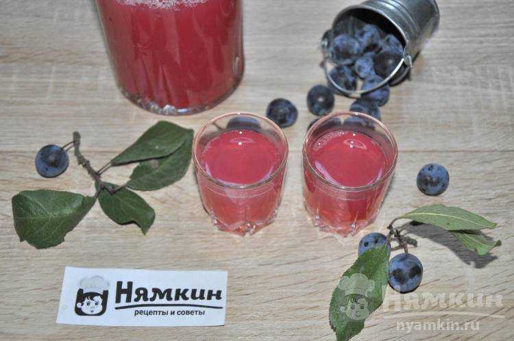 Вино из сливы в домашних условиях: 6 простых рецептов сливового вина