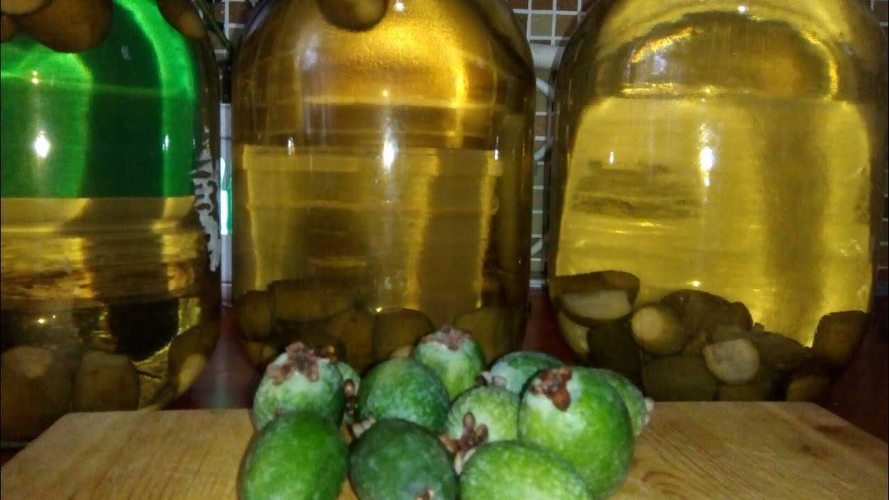 11 лучших рецептов приготовления компота из фейхоа на зиму
