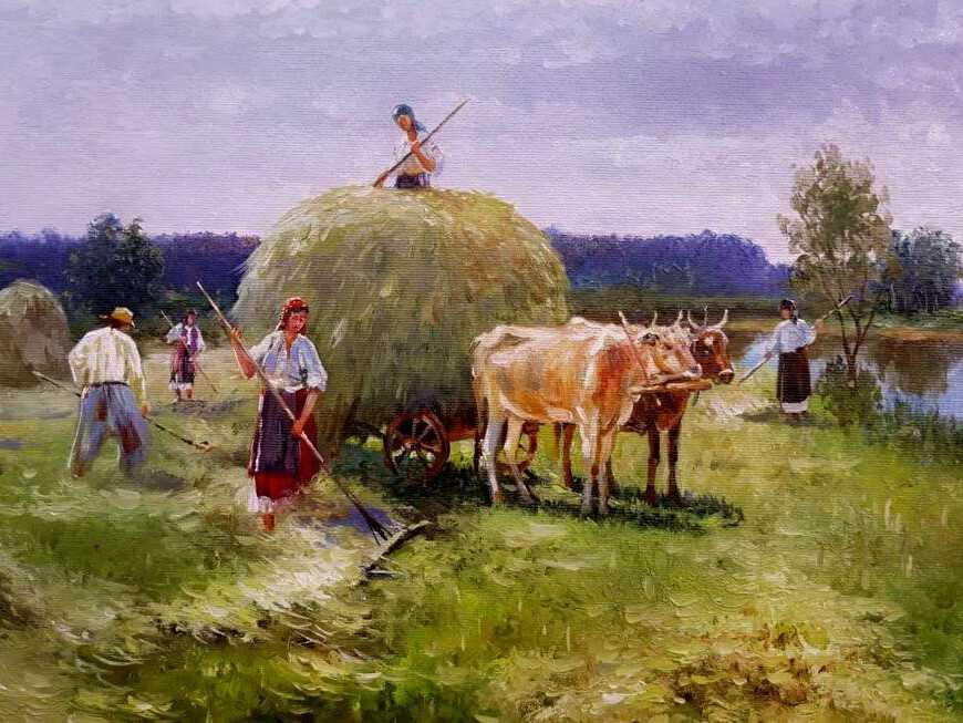 Как сушить сено для домашних животных: заготовка сена на зиму