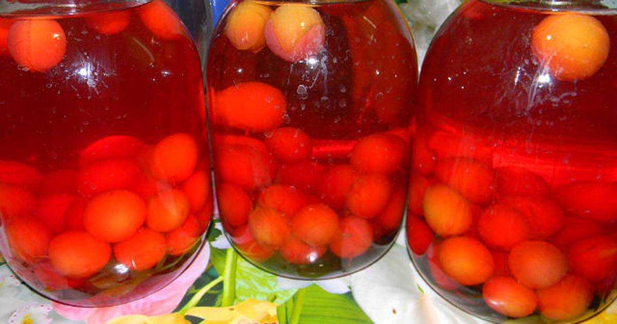 Компот из алычи на зиму – популярные рецепты консервации и советы для закатки + видео