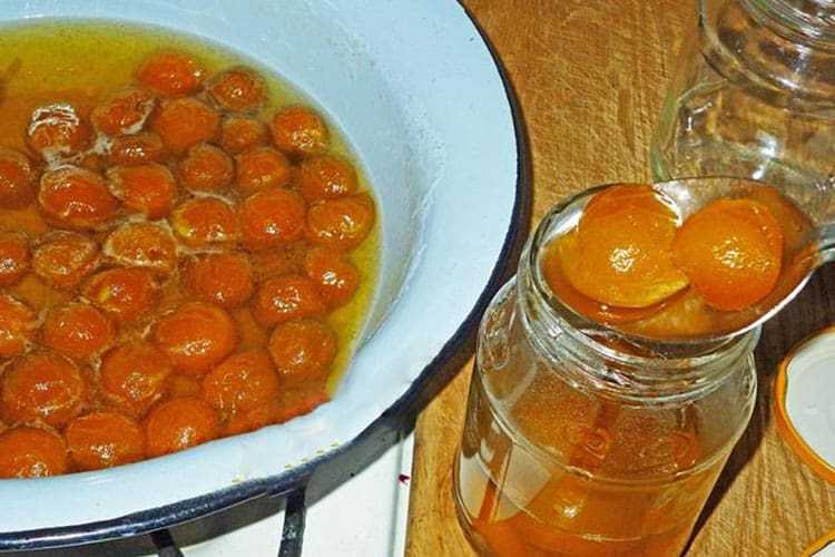 Варенье из абрикосов без косточек на зиму - вкусные рецепты густого абрикосового варенья