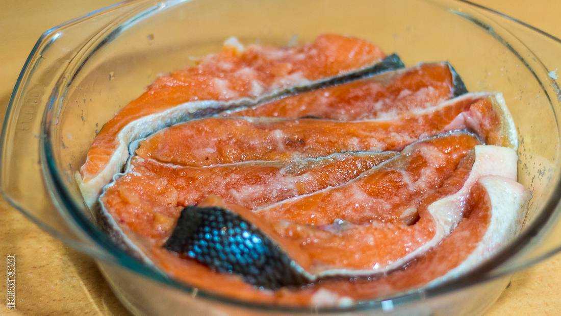 Как в домашних условиях вкусно засолить кету
