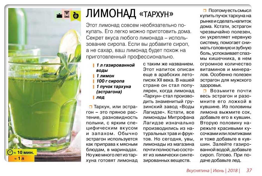 Тархун в кулинарии -способы применения и рецепты приготовления