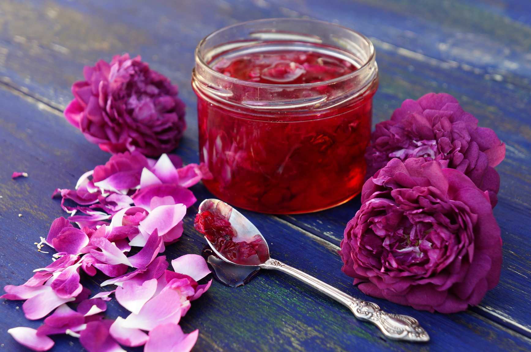 Варенье из шиповника: рецепты, как приготовить