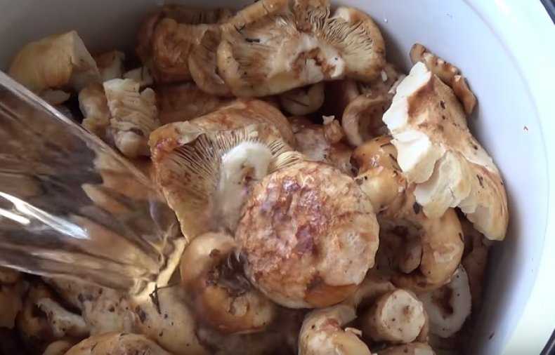 Как приготовить вкуснейшие валуи на зиму: самые вкусные рецепты!