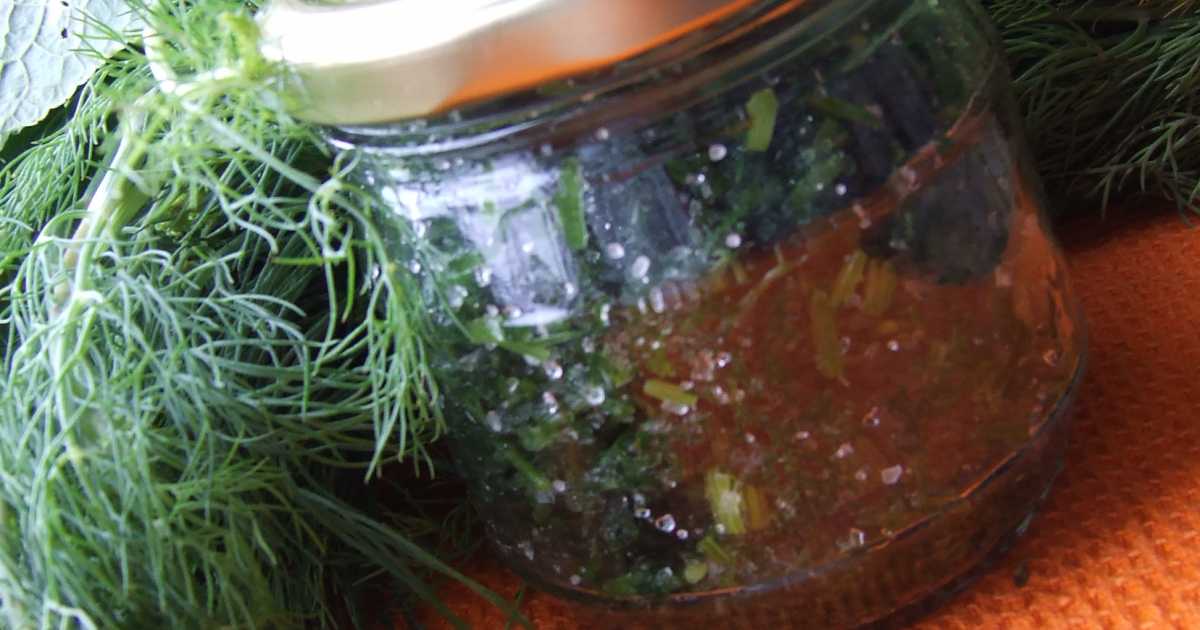 Петрушка, укроп, сельдерей – способы заготовки зелени на зиму