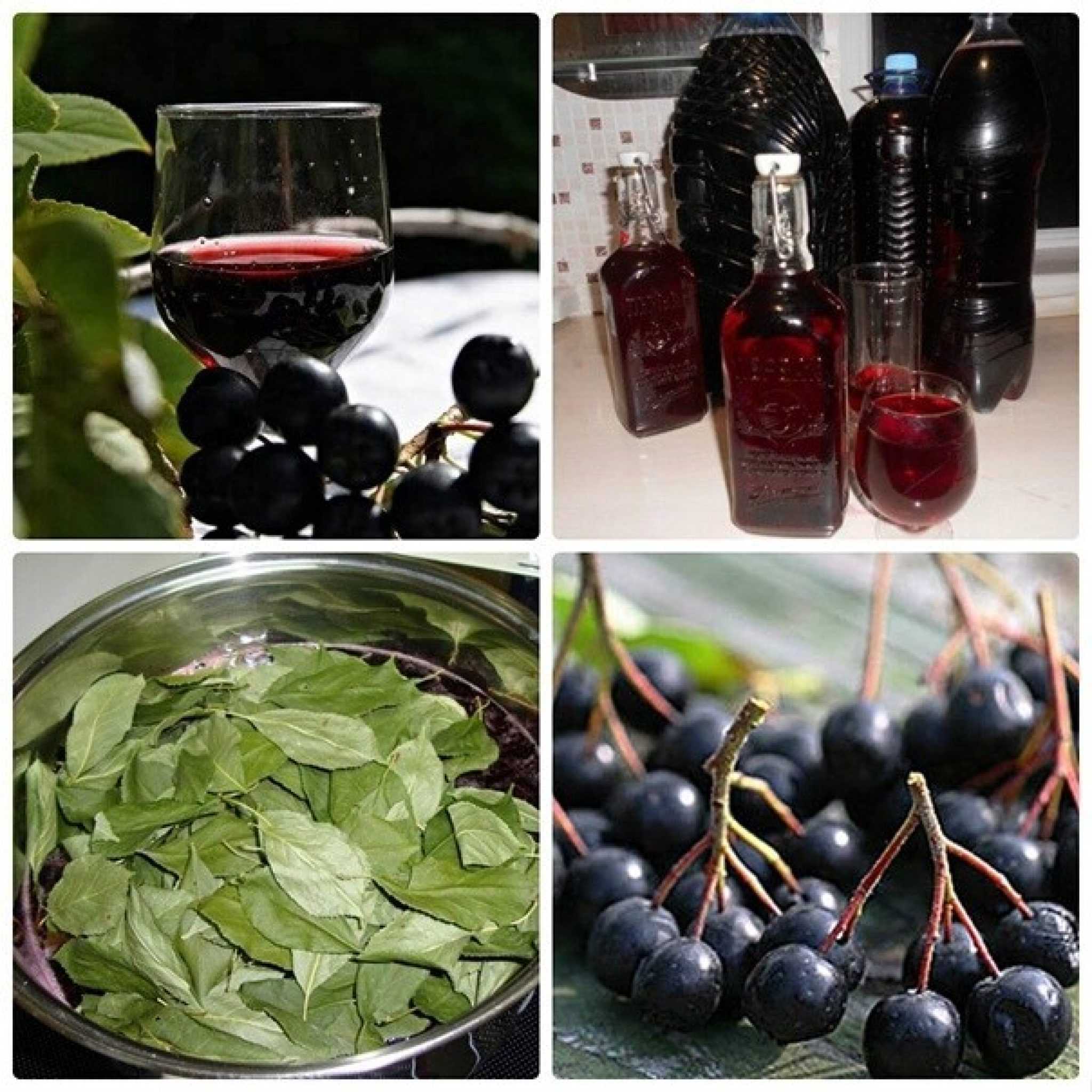 Рецепт домашнего вина из черной. Наливка из черноплодной рябины. Ликер из черноплодной рябины и наливка. Вино из черноплодной рябины. Наливка из черноплодной рябины с вишневыми листьями.