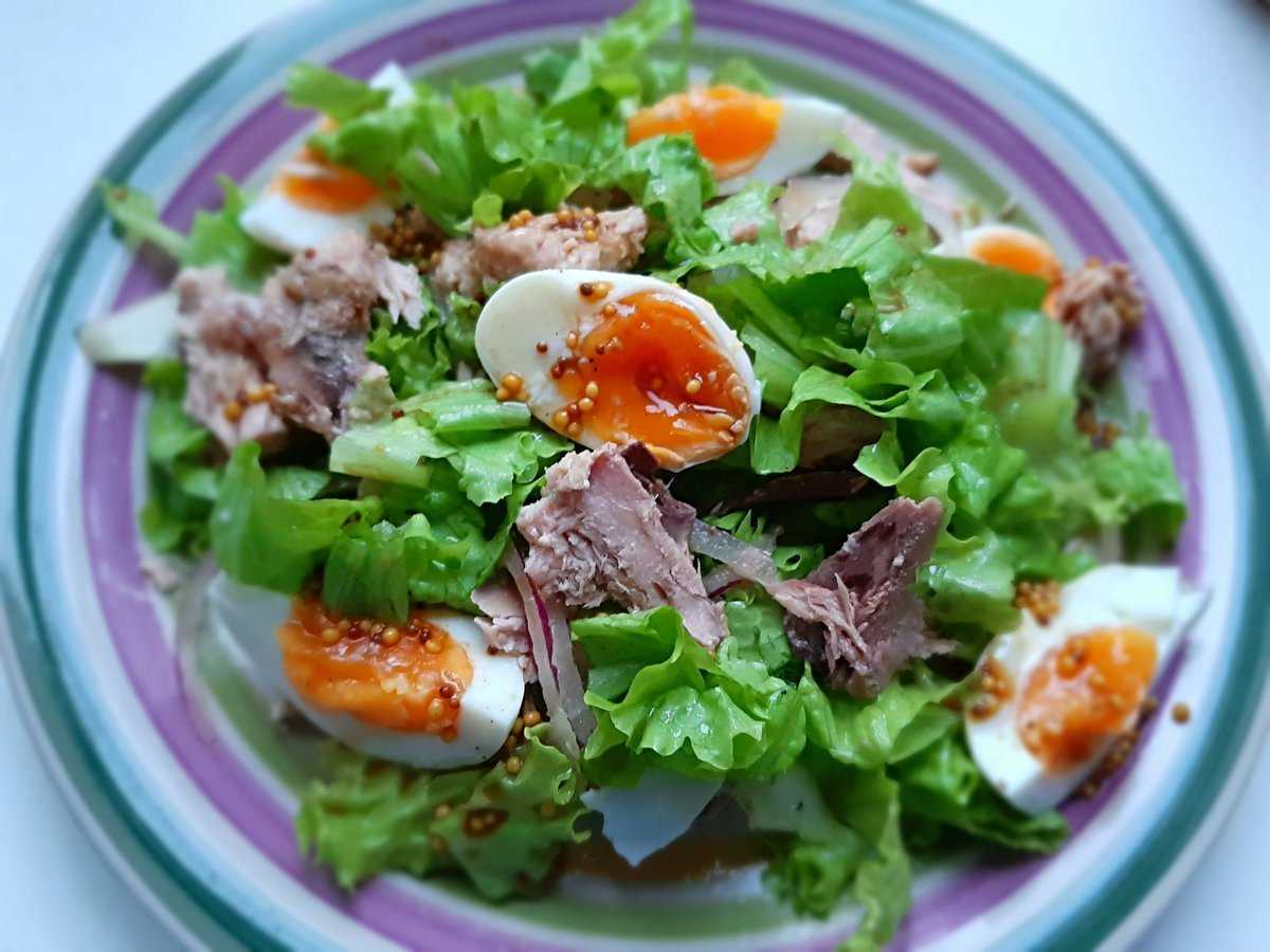 Салат из тунца с огурцом: 8 свежих рецептов