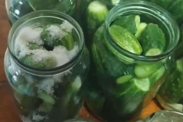 Огурцы с морковной ботвой