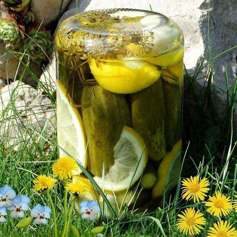 Пражские огурцы с лимоном и лимонной кислотой на зиму: рецепты, отзывы - садоводство - 2023