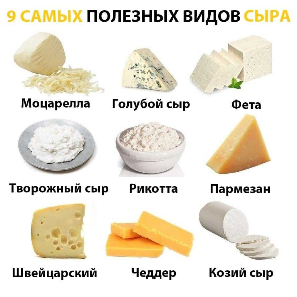 Классификация сыров и их характеристика