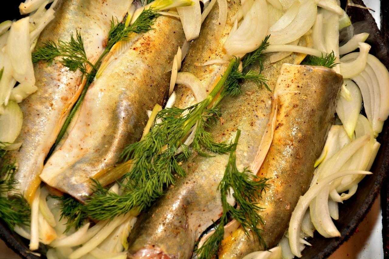 Как приготовить рыбу тушеную в сметане с луком и морковью