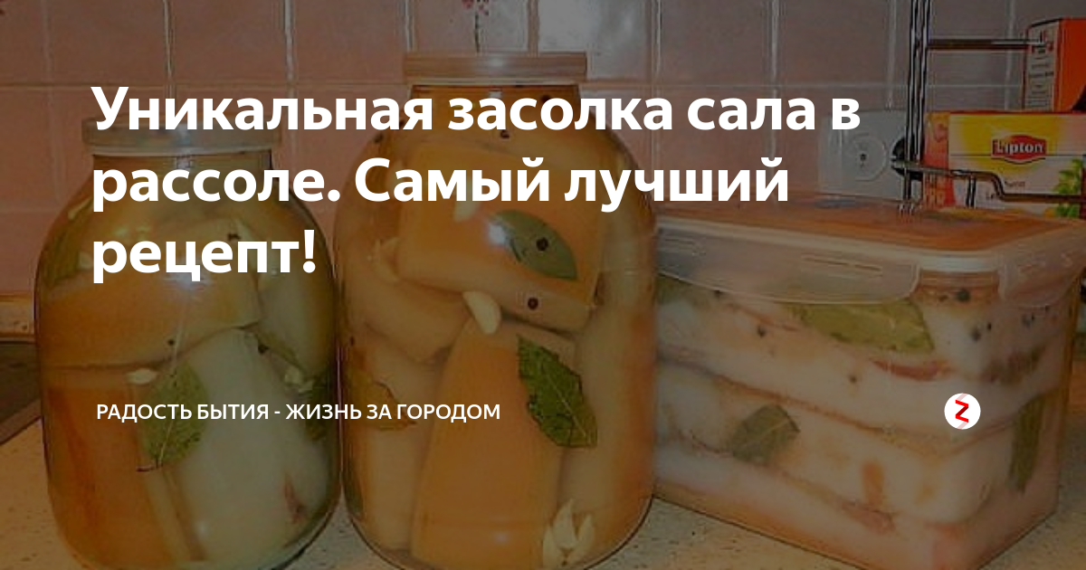 Как засолить сало: пошаговые рецепты засолки шпика в домашних условиях