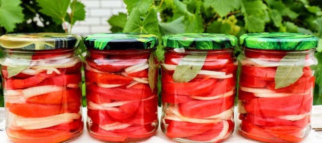 Как приготовить помидоры по-фински на зиму: просто и очень вкусно: новости, кулинария, заготовки, рецепты, приготовление, помидоры, минск
