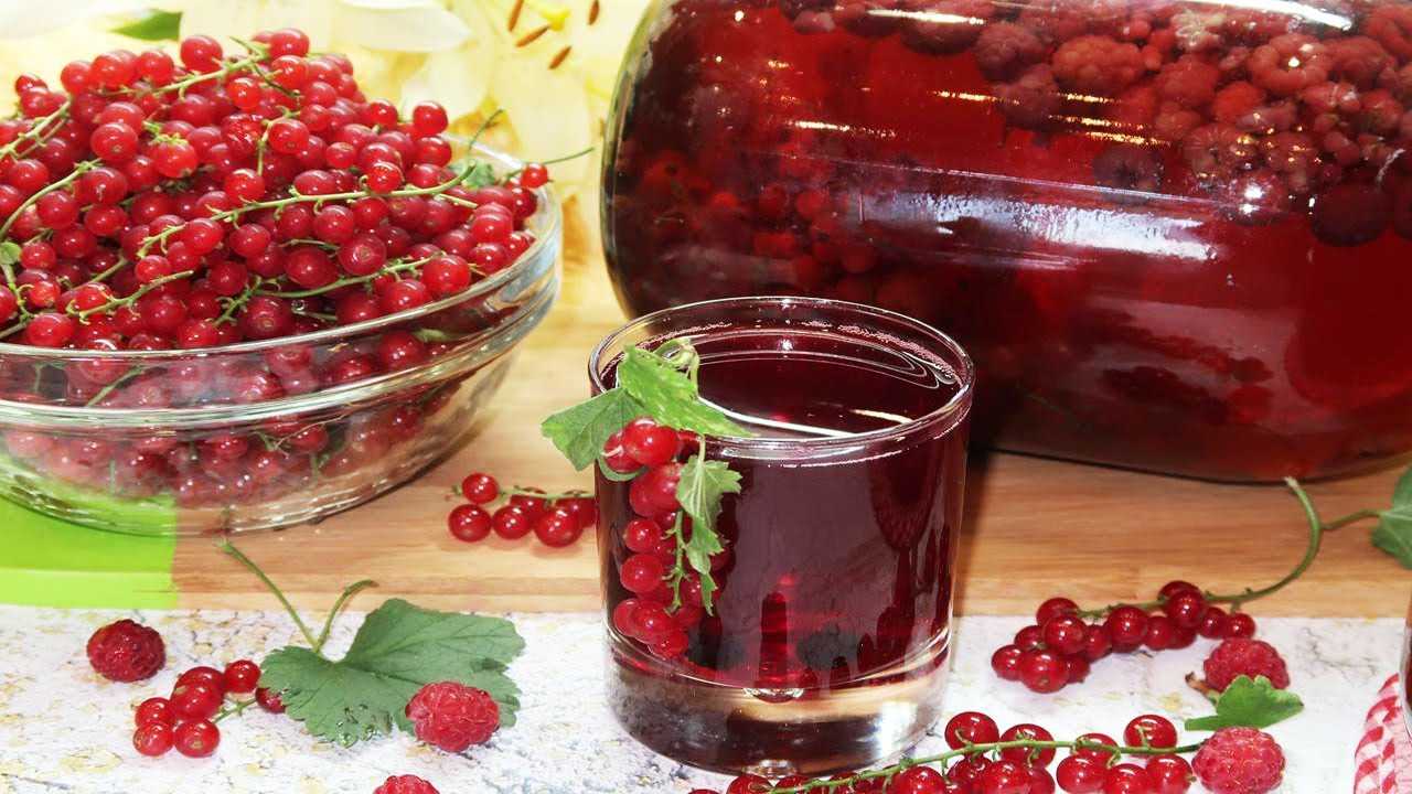 Компот из красной смородины на зиму: 6 рецептов