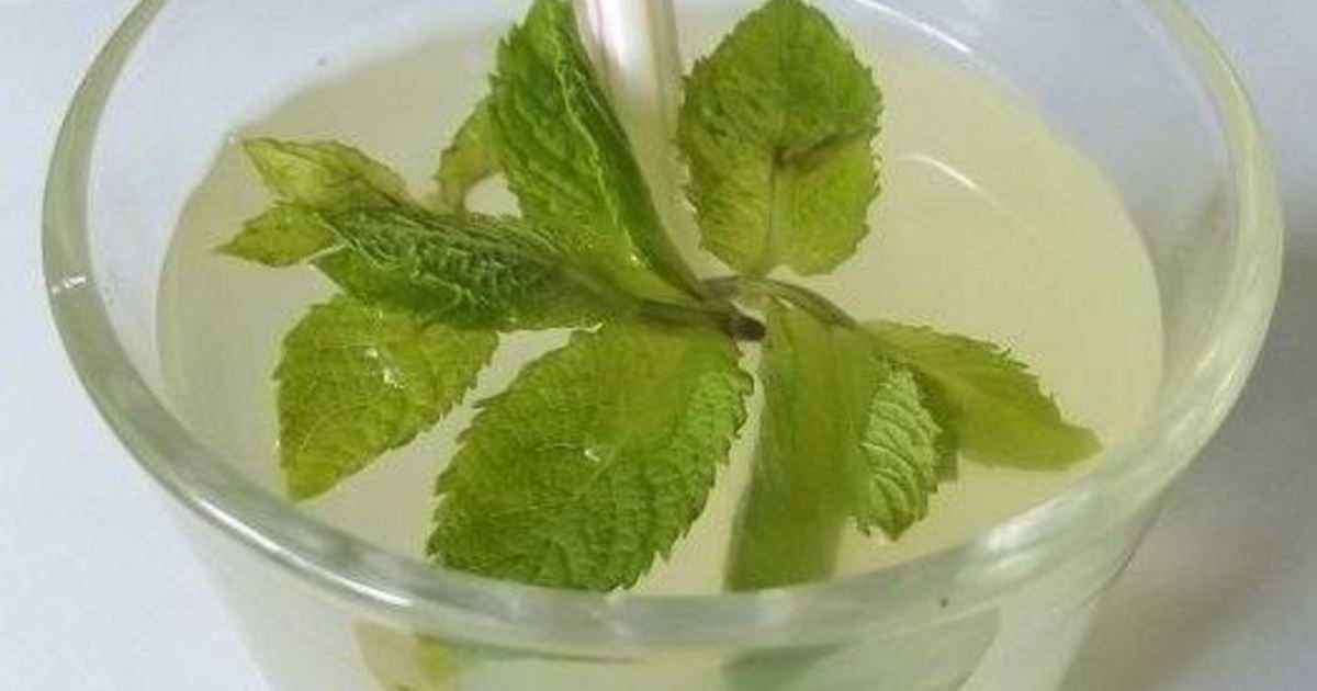 Домашний лимонад вкуснее магазинного – 3 освежающих и вкусных рецепта натурального напитка