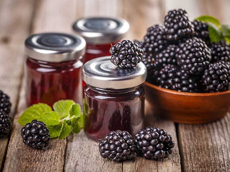 Как приготовить варенье из ежевики на зиму? рецепты пальчики оближешь