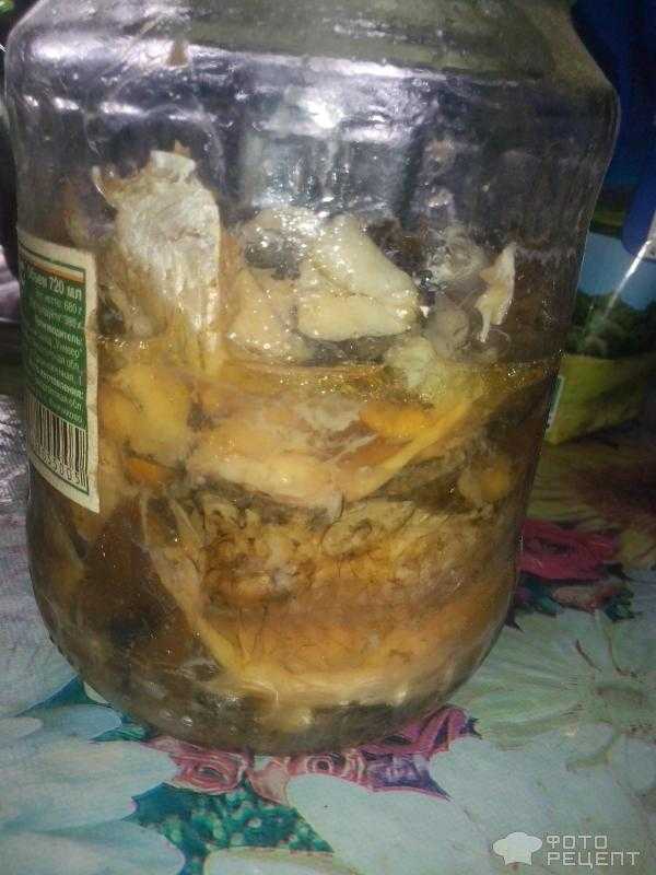 Консервы из скумбрии в домашних условиях