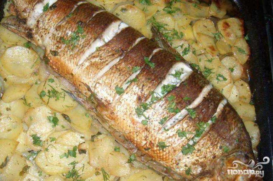 Как посолить нельму: просто, быстро, вкусно – рецепты в домашних условиях - onwomen.ru