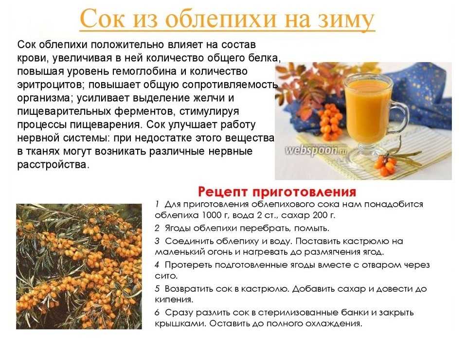 Облепиха на зиму: рецепты приготовления без варки