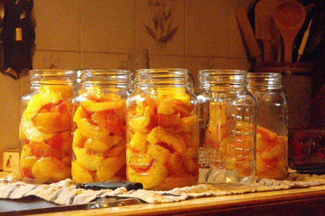 Персики на зиму: 20 простых и очень вкусных рецептов