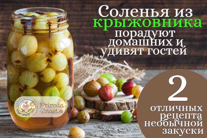 Маринованный крыжовник: рецепты заготовок на зиму, с чесноком, фото