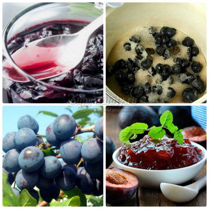 Варенье из терна — 9 самых вкусных рецептов. 7 простых рецептов варенья из терновника на зиму 2021 без косточек с фото