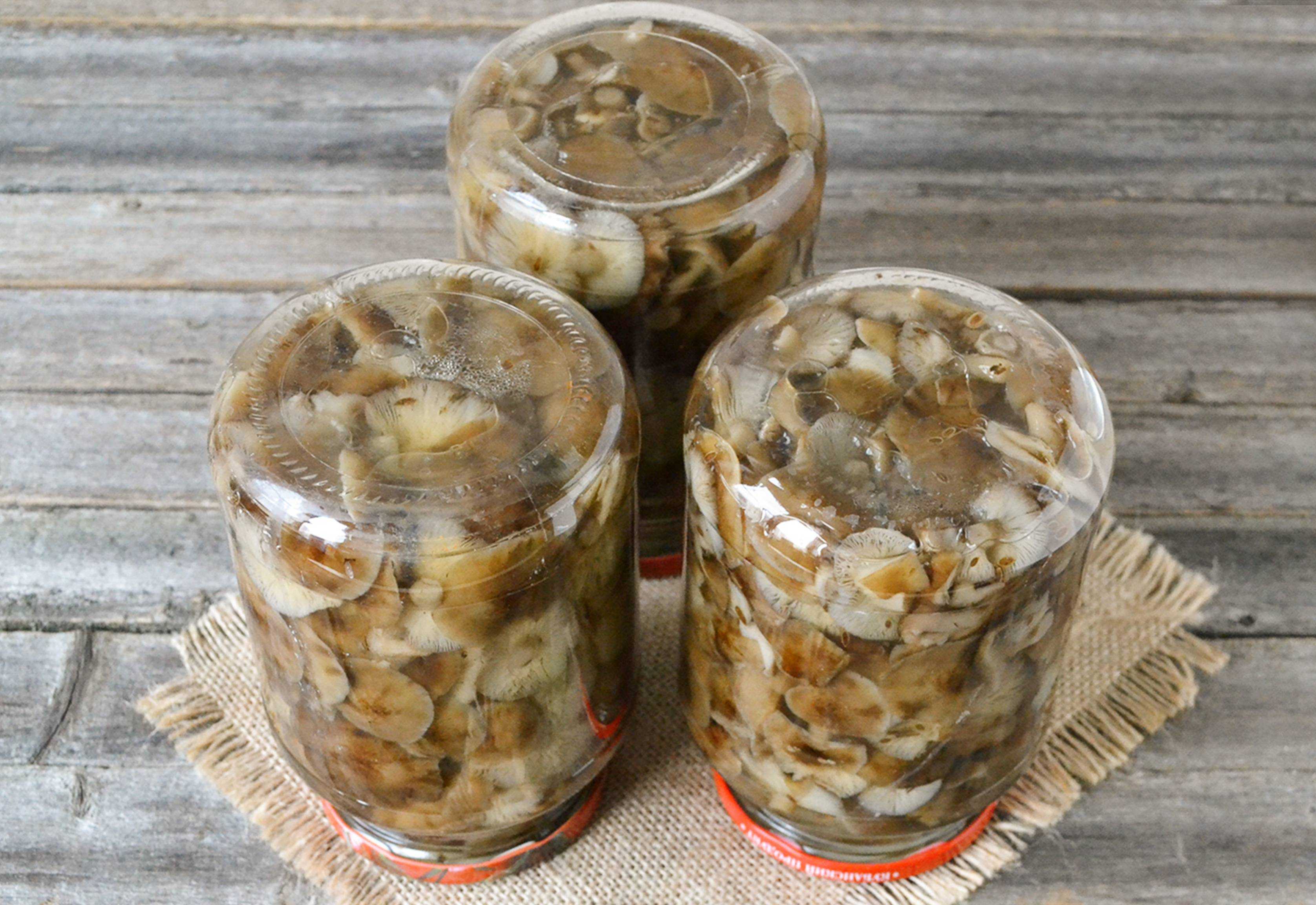 Жареные шампиньоны на зиму в банках: самый вкусный рецепт приготовления + фото