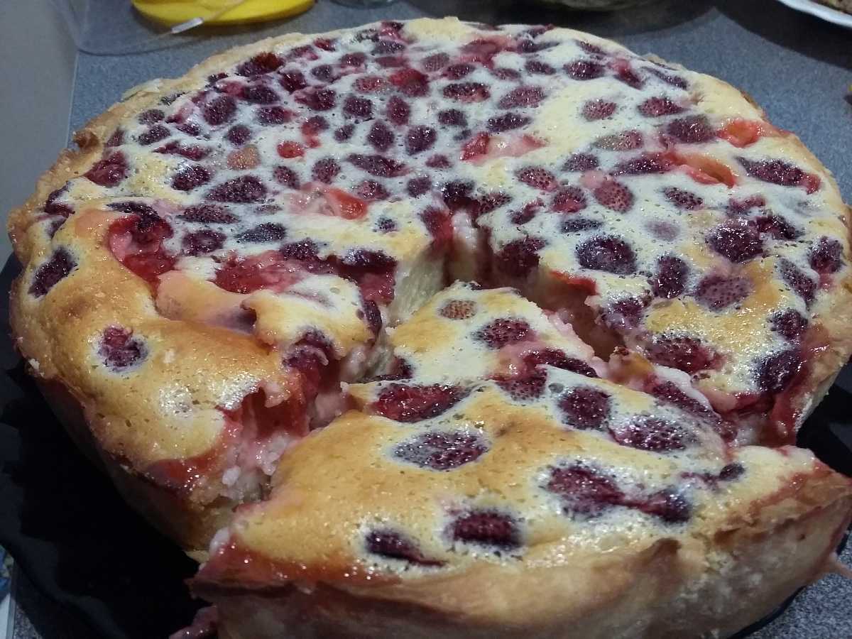 Пирог с черникой в духовке – 8 рецептов черничного пирога