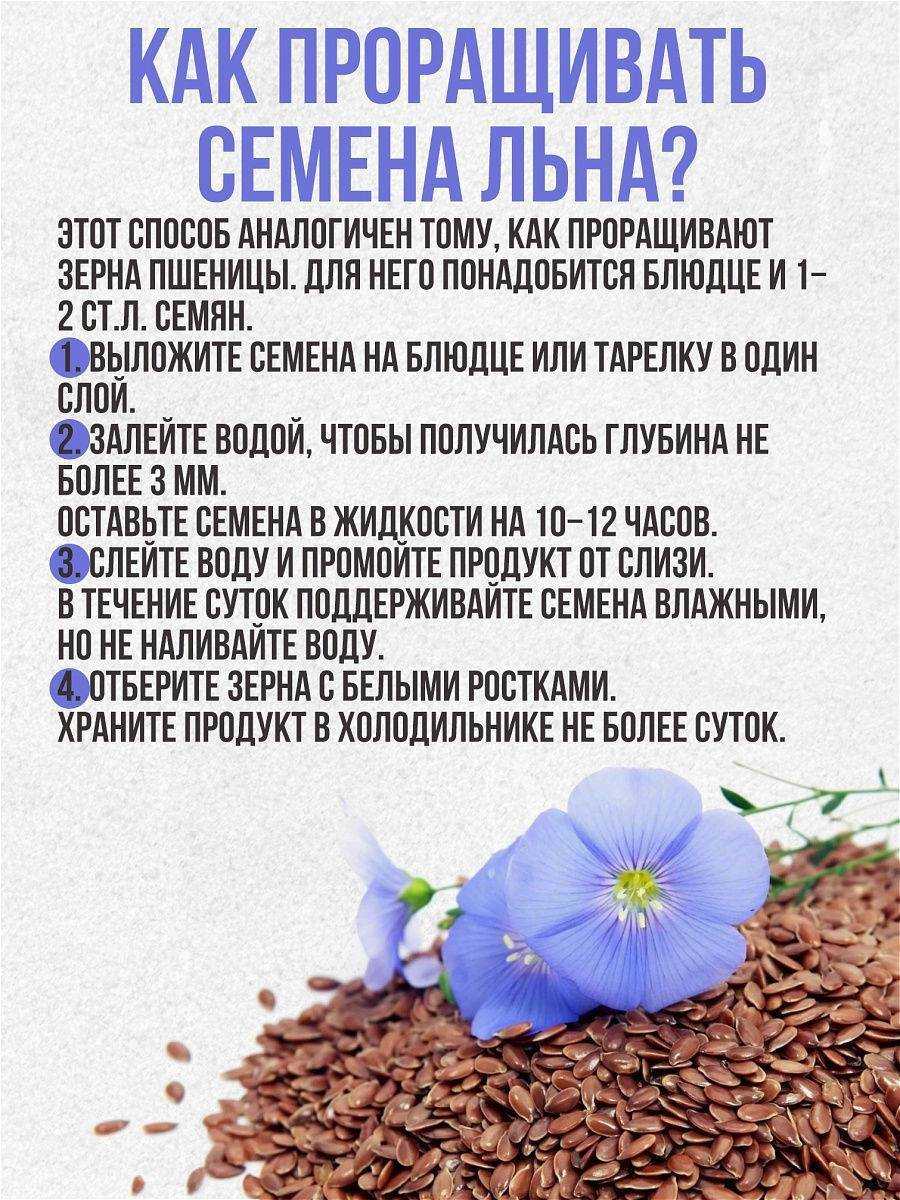 Семена льна: как принимать, где хранить и польза для здоровья