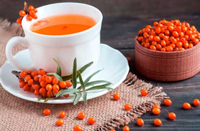 Облепиховый чай рецепт самого вкусного и полезного напитка
