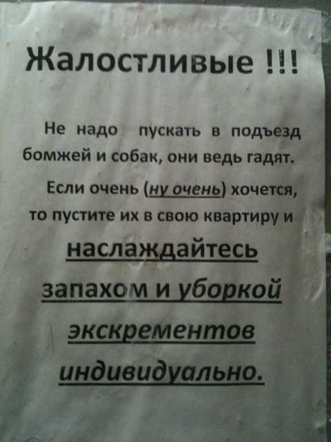 Как отвадить кошек от участка? как отвадить кошек гадить на участке? как защитить грядки от кошек