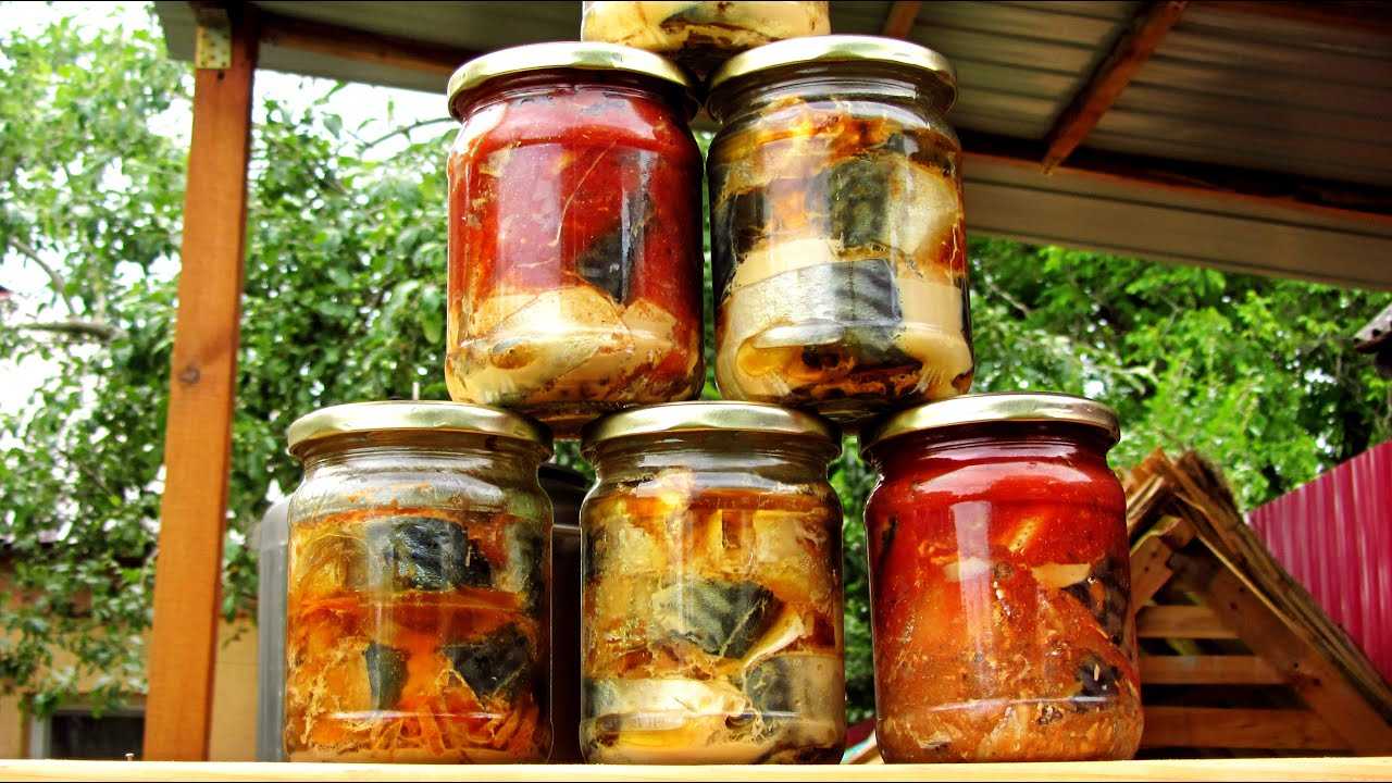 Консервы из скумбрии в домашних условиях: рыба в масле, с овощами, в собственном соку, приготовленная в духовке, автоклаве или мультиварке