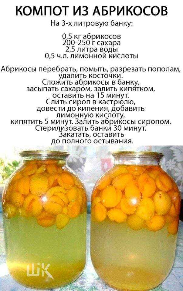 Компот из алычи на зиму без стерилизации, как приготовить с косточками и без